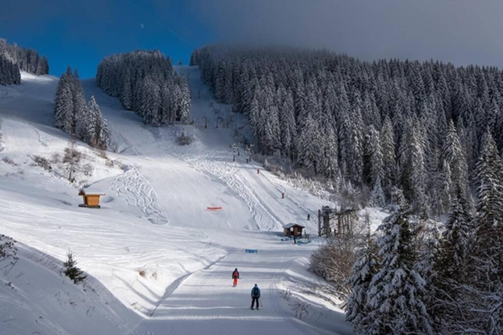 Le Relai S34 - Grand Et Lumineux Studio Avec Coin Montagne 4-6 Pers Avec Wifi, 50M Des Pistes, Grand Balcon Expose Sud, Draps Non Compris Saint-Jean-dʼAulps Exterior foto